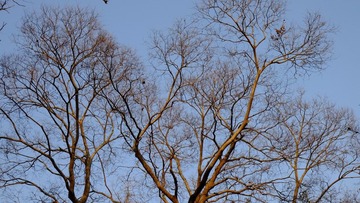 DSCF0661.jpg