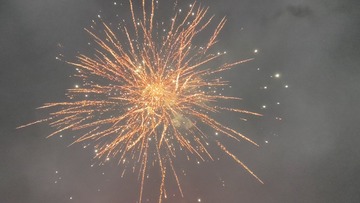 1000011228