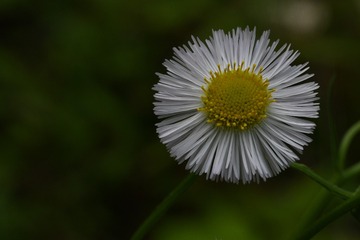 1000016899