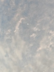 1000015463