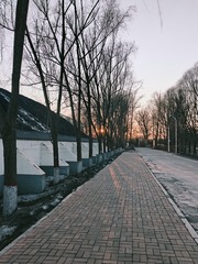 1000007461