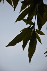 Image_577548836935308