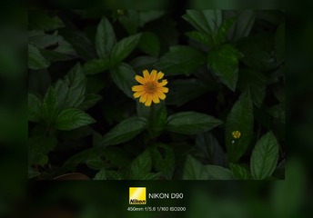 1000179137