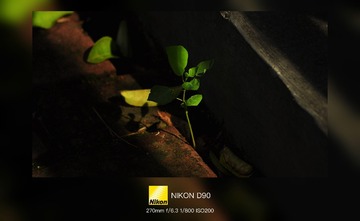 1000179136