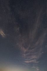 1000009056
