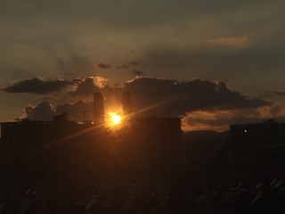 1231317