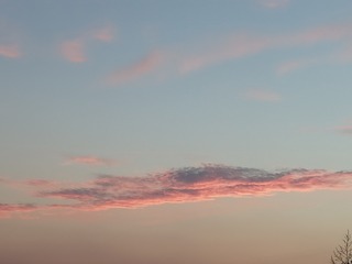 769