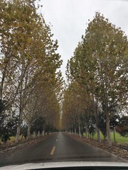 IMG20241125102500
