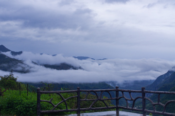 IMGP0627