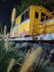 1000005548