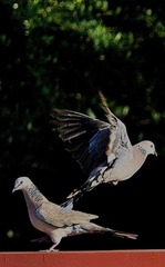 57970