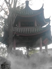 864559