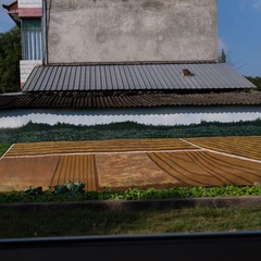 10_天府·向南©Lin