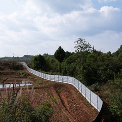 19_天府·向南©Lin