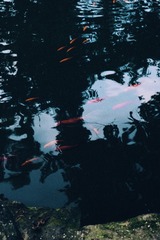 1000167150