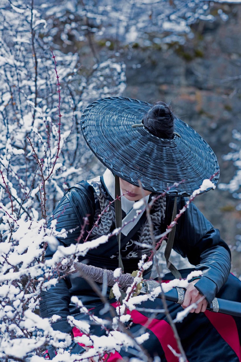 锦衣卫——雪域孤影
