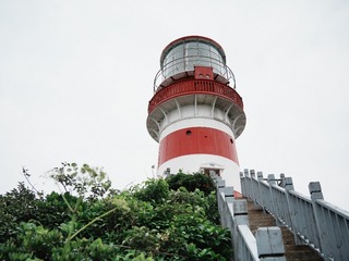 52441