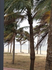 IMG_20250208_171635