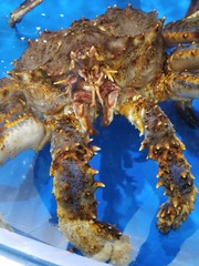 IMG_20250410_131332