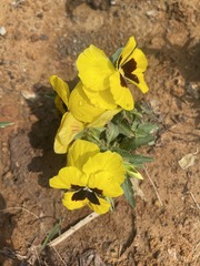 001