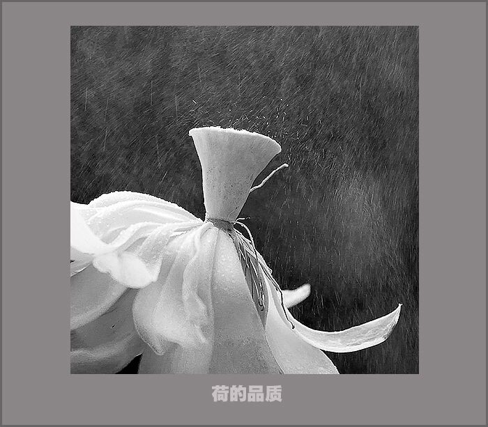 002<br />
