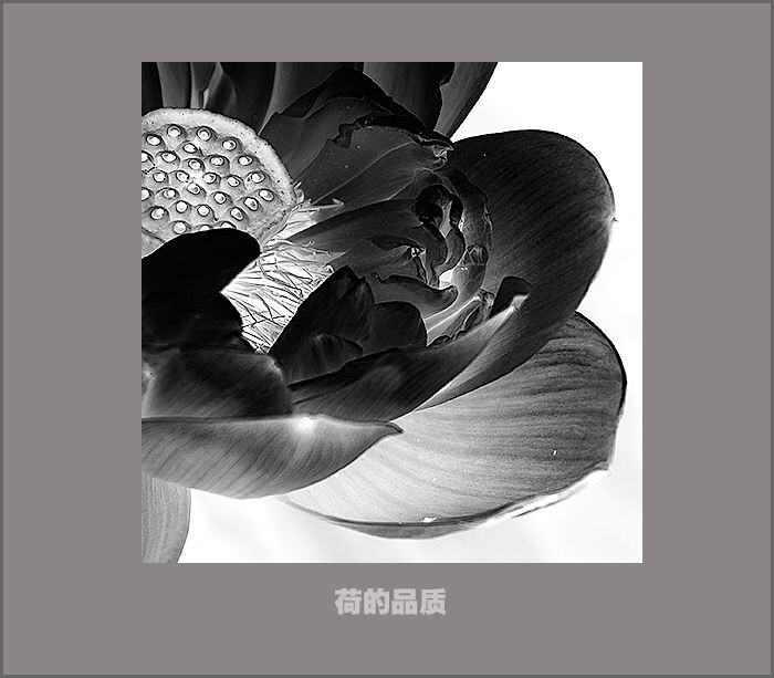 003<br />
