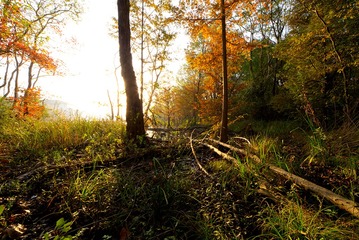 002_JH_1759