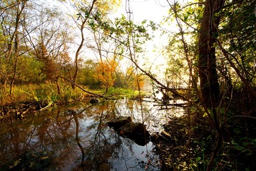 003_JH_1764
