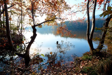 010_JH_1861
