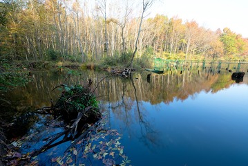 013_JH_1896