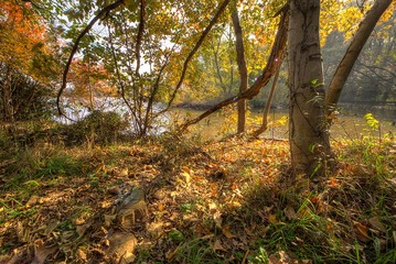014_JH_1901