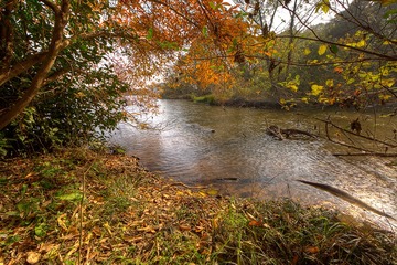 015_JH_1906