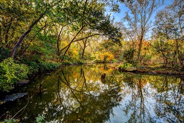 016_JH_1911
