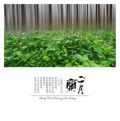 “_JH_6889”为智能对象-1