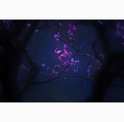 005“_JH_0089”为智能对象-1
