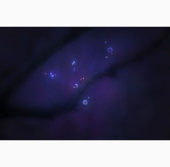006“_JH_0120”为智能对象-1