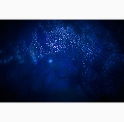 010“_JH_0108”为智能对象-1