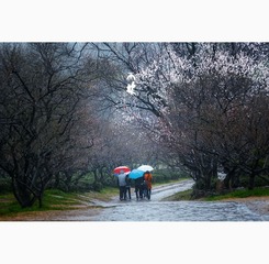 014“_JH_0163”为智能对象-1