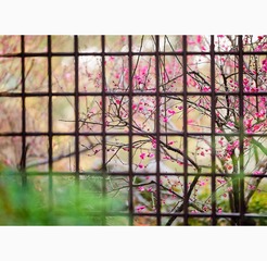 036“_JH_1224”为智能对象-1