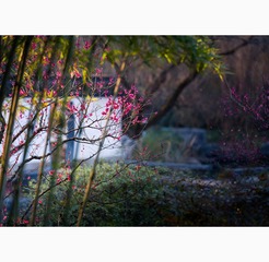 038“_JH_1349”为智能对象-1