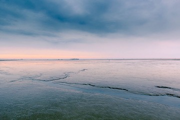 02.jpg