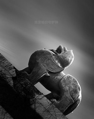 南京城的守护神.jpg