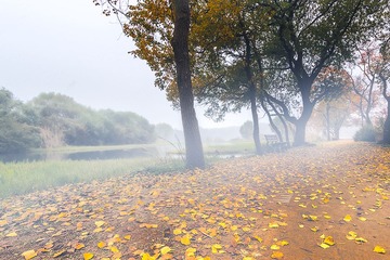 “_MG_4504”为智能对象-1－－