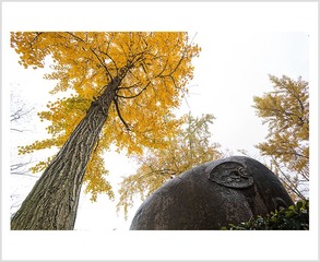 005“_MG_4817”为智能对象-1