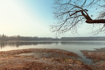 5“_MG_6613”为智能对象-1-