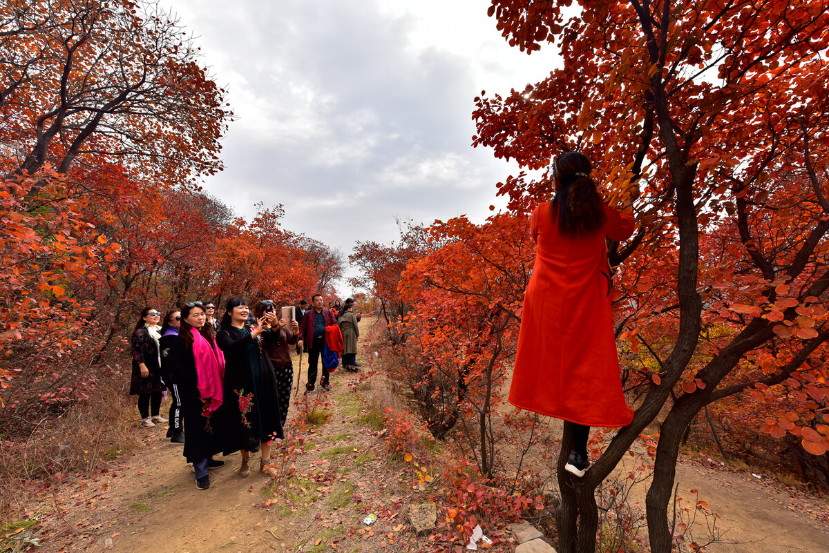 红叶人物拍摄技巧,秋季赏红叶须选好相机和好构图