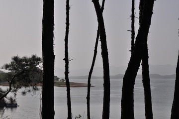 DSC_0562sc (85)