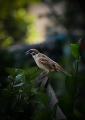 DSC_0158_edit_56542315907518