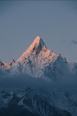 1000138517