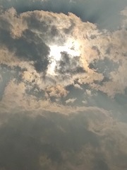 1000024363